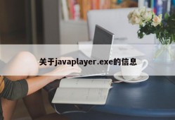 关于javaplayer.exe的信息