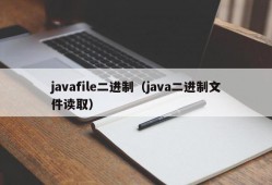 javafile二进制（java二进制文件读取）